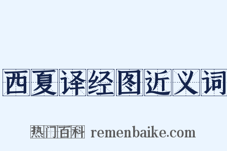 西夏译经图近义词是什么意思的图片